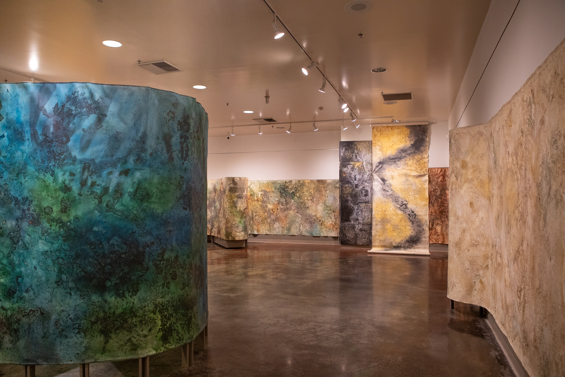 Bakersfield Museum of Art Celebrates 70 Years Expanding Regional Creative Access