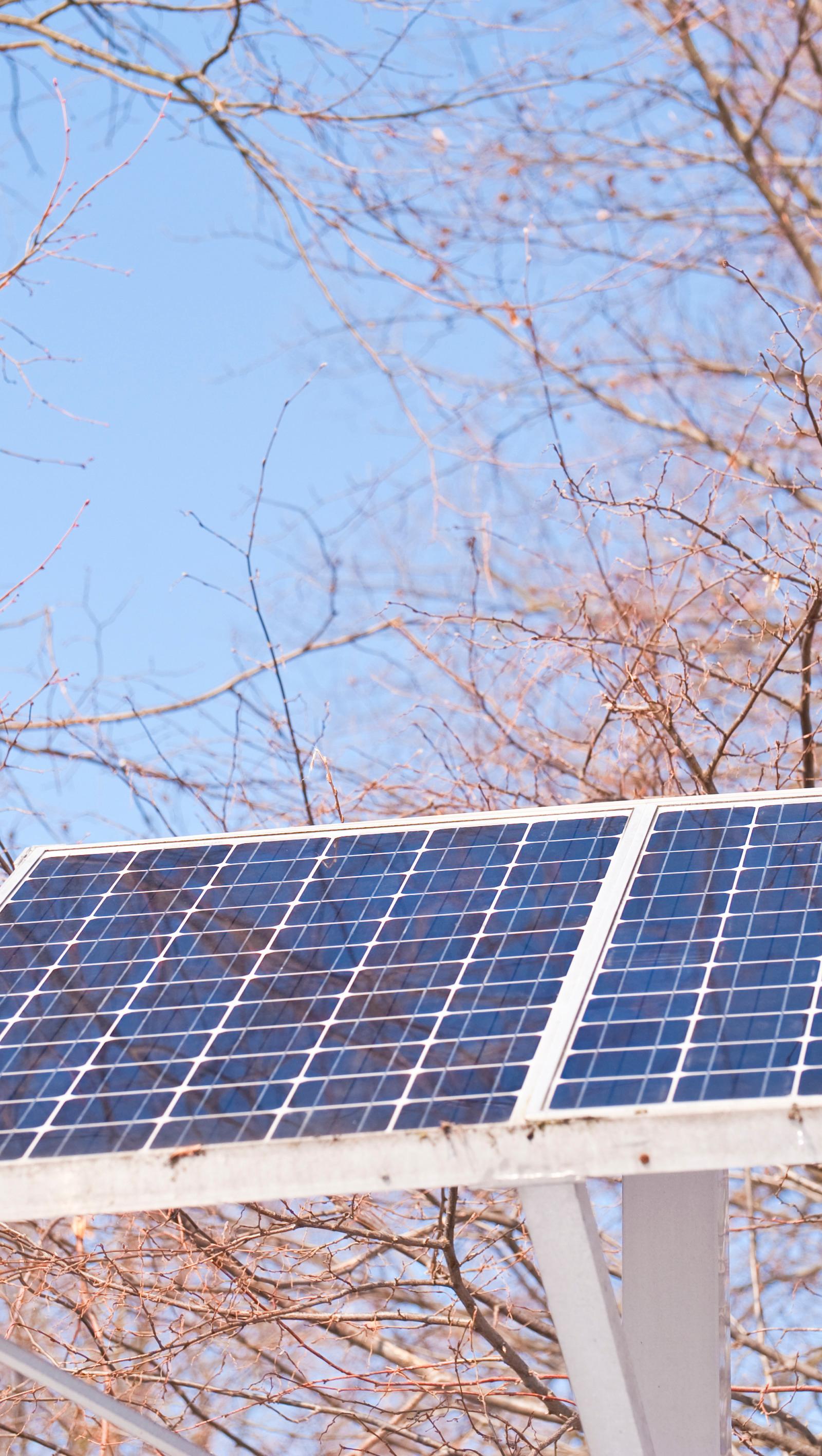 Bakersfield's Renewable Energy Boom Creates New Job Opportunities for Workers